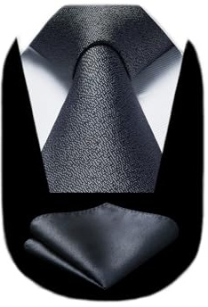 HISDERN Krawatten für Herren Einfarbige Formal Krawatte mit Einstecktuch Set Klassisch Hochzeit Elegant Business Party