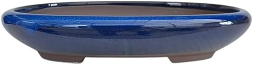 Genérico BIOMATA Maceta Bonsai Ceramica para Kifu/Shohin 16,5x13,2x3,7 cm | Tiesto Ovalado | Maceta para Bonsai Resistente a Cualquier Clima | Tiesto Ceramica con Drenaje (Azul)