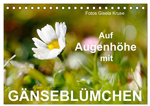 Auf Augenhöhe mit Gänseblümchen (Tischkalender 2024 DIN A5 quer), CALVENDO Monatskalender: Den unverwüstlichen Wiesenblumen, die selbst Schnee und Eis trotzen, ins Gesicht geschaut (CALVENDO Natur)