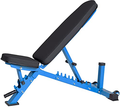 REP AB-3100 Adjustable Weight Bench | Blue FID Strength Chair | Foldable Home Gym Equipment | Flat Incline Decline Workout Bench for Training and Fitness
