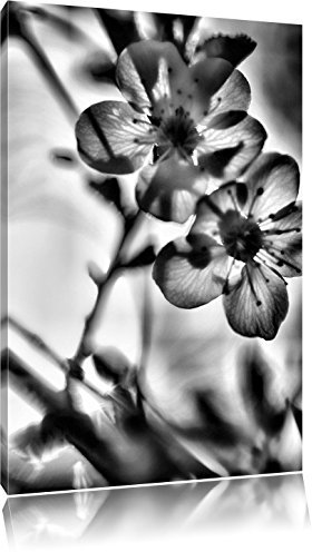 Pixxprint Monocrome, Blüten am Baum, Größe: 80x60cm, Leinwandbild, fertig gespannt, Wandbild, Dekoration, Kunstdruck, kein Poster