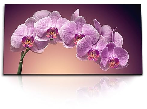 Paul Sinus Kunstdruck Bilder 120x60cm Rosa Orchidee Blume Kunstvoll Blume Blüten