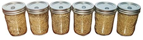 6 Jars BRF PF Tek Brown Rice Flour Mushroom Substrate - Half Pint Jars with Injectable Ports