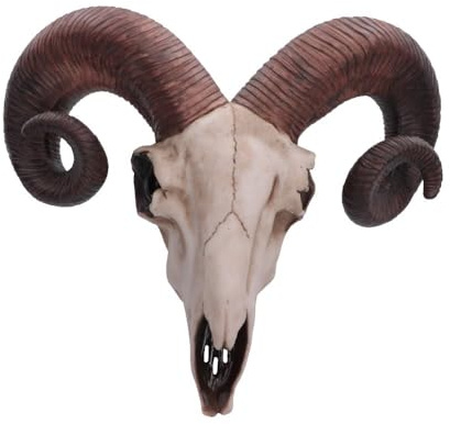 Nemesis Now Rams Skull Medium Wall Plaque 32.5cm Ivory, Resin, One Size