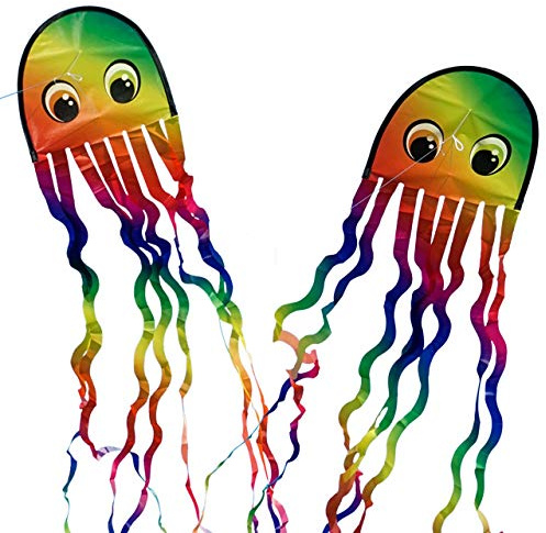 CIM Oktopus Drachen - Draki Rainbow Set - Einleiner für Kinder ab 3 Jahren - Abmessung: 25x160cm - inkl. Drachenschnur