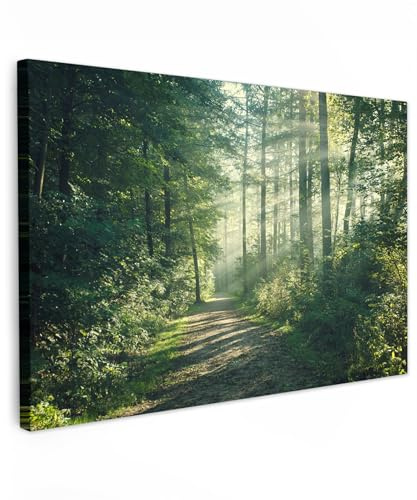 MuchoWow© Wandbilder Groß XXL Schlafzimmer Home Deko Wohnung Bild - Natur | 120x80 cm - Wohnzimmer Fotoleinwand Wand Bilder Leinwand Wall Decor Wald - Weg - Sonne - Bäume - Grün