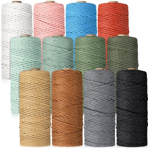 Wesnoy Makramee-Schnur, 4 mm x 600 m, natürliche Baumwollschnur, farbige Makramee-Schnur, buntes Baumwollseil für Bastelarbeiten, Stricken, Kunstwerke, Wandbehang, Pflanzenaufhänger, 12 Rollen