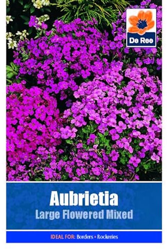 Flower Seeds Aubretia Large Flowered Mixed - 185 Seeds Packet Plant Bedding Borders Containers Pots Grow Your Own Garden Plant Seed