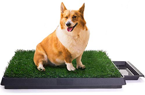 Sailnovo Hundeklo Hunde Toilette Kunstrasen Gras Welpentoilette Trainingsunterlage für Kleine Hunde Grosse Hunde ältere Hunde Tier WC Indoor 63 x 50x 7(L x B x H) cm (2)