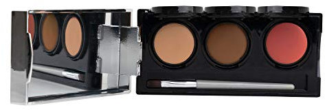 Tattoo Abdeck Makeup, wasserfester Concealer, 3 Farben + Pinsel, von Dermaflage, 6,9 g