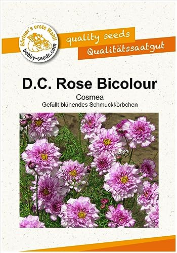 Blumensamen Double Click bicolour rose Cosmee Portion