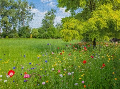 Puzzles for Adults 500 Pieces Jigsaw Puzzles Deciduous Tree and Multi Colored Blooming Meadow Sunlight Puzzles Clearance Big Large Puzzles Difficult Cool Hard Puzzles for Adults