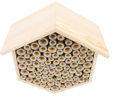 Bienenstöcke-Boxen-Starter-Set, Hausbox, Lebende Bienen, Hängende Lebensräume, Bienenstock-Unterschlupf, Nester, Raum, Schmetterlinge, Futterspender für Gartenschreiner