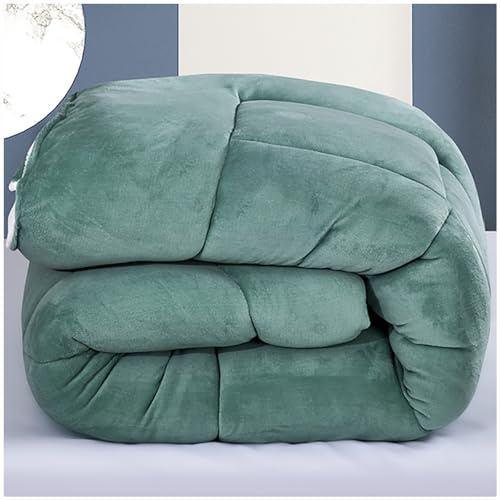 ZTGL Edredón Nórdico Invierno, Colcha Con Borreguito, Manta Suave Cálida, Microfibra Reversible Para Cama 150/180/200/220, C, 200x230cm (3kg)