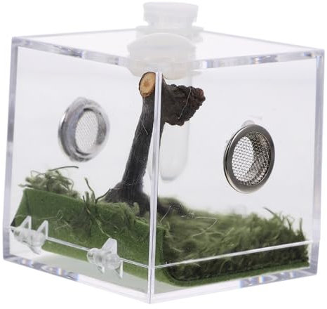 GRIRIW Acrylbox Transparent Für Springspinnen Schneckenbehälter Aus Acryl Habitatkäfig Für Reptilien Brutkasten Für Spinnen Futterkasten Für Grillen
