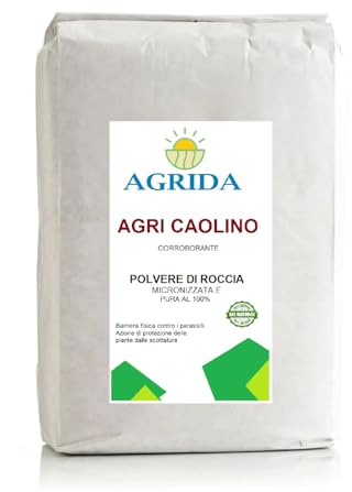 Caolino Micronizzato per Uso Agricolo 4 kg – Polvere Minerale Naturale per Trattamenti Fogliari – Protezione da Insetti e Scottature – Agricoltura Biologica - corroborante difese MOSCA DELL'OLIVO