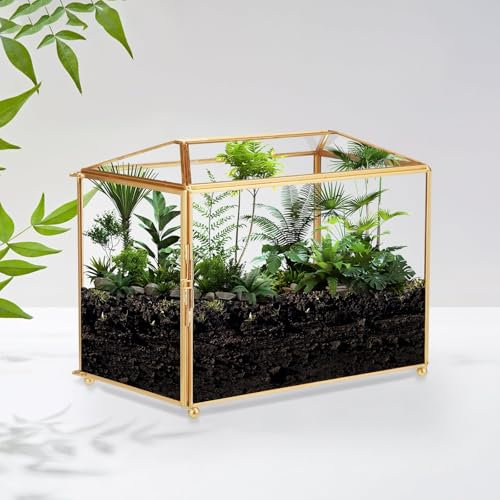 CROWNSHOP Glass Geometric Terrarium Cube 25 x 15 x 20 cm - Clear Plant Planter for Succulent Flower, Home Garden Indoor Balcony Tabletop Decor