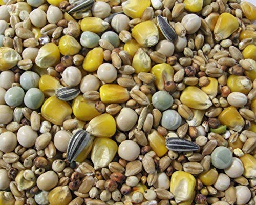 Matador ECO Zucht und Reise 25 kg - Futter für Brief- und Rassetauben mit doppelt gereinigten Saaten