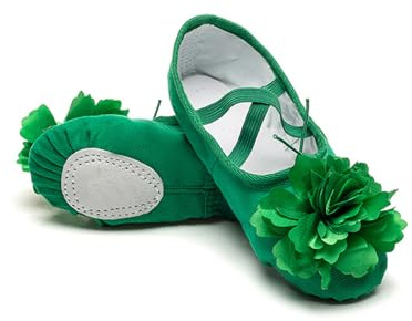 Hixingo Ballet Shoes Women Split Sole, Size 3.5-8 UK Ballet Slippers Flat Shoes Split Sole Adult for Dancing Races, Gymnastics Dancing (Green Flower,4)