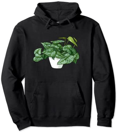 Silver Pothos Plant House Golden Vine Ivy Satinato Felpa con Cappuccio