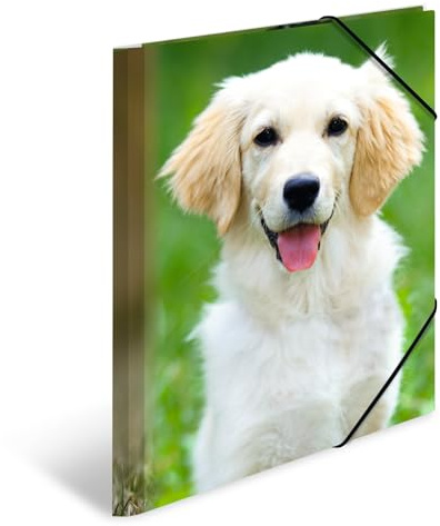 HERMA Sammelmappen A4 Hunde Set, 3 Stück, Kinder Eckspanner-Mappen aus Kunststoff mit Tier Motiv, Gummizug, Innenklappen und Innendruck für Jungen und Mädchen