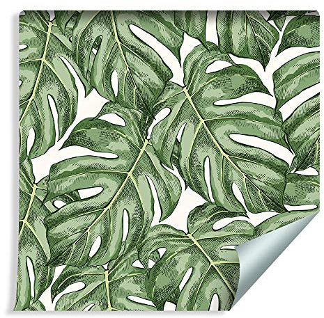 Muralo Photo Wallpaper Plants Monstera 1000 x 53 cm Non-Woven Wallpaper Wall Wallpaper Monster Leaves Living Room Bedroom Modern Mural Nature Green Landscape Wall Decoration