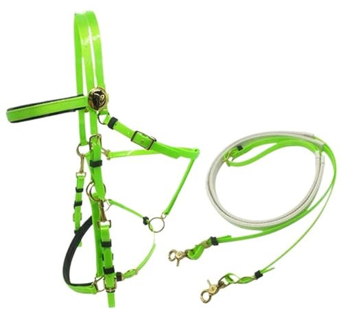 LXLAEOANG Pferde Zügel Green Horse Zaumzeug, Zügel, synthetischer Sattelstil, Nylon-PVC-Material, Halfter, Trail Endurance Horse