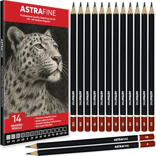 ASTRAFINE Sketching Pencils Set - 14 Premium Drawing Pencils Ideal for Sketching, Shading & Doodling - For Beginners & Professionals