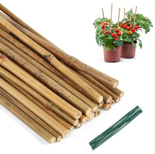 Bambusstäbe 20 Stück Pflanzstäbe Natürliche Pflanzenstab 40 cm Pflanzstab mit 20 Kabelbindern Bambus Stäbe für Topfpflanzen und Kletterpflanzen