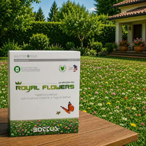 Semi per Prato verde con fiori, Tappeto erboso con essenze fiorite a taglio basso, resistente al calpestio