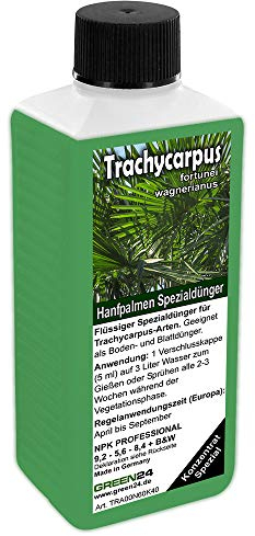 GREEN24 Trachycarpus Dünger für Hanfpalmen Tessinerpalmen Trachycarpus fortunei wagnerianus Palmen als Spezial Wurzeldünger + Blattdünger Profi Linie düngen
