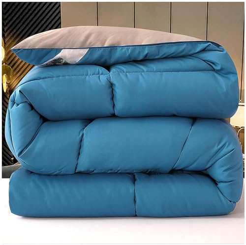 ZTGL Piumone 4 Stagioni-Trapunta Matrimoniale-Piumino in 70% Piuma D'Oca per L'Autunno Inverno Piumone, Coperta Morbida e Calda, Piumone Matrimoniale Anallergica, Lavabile,A,150X200cm(2kg)