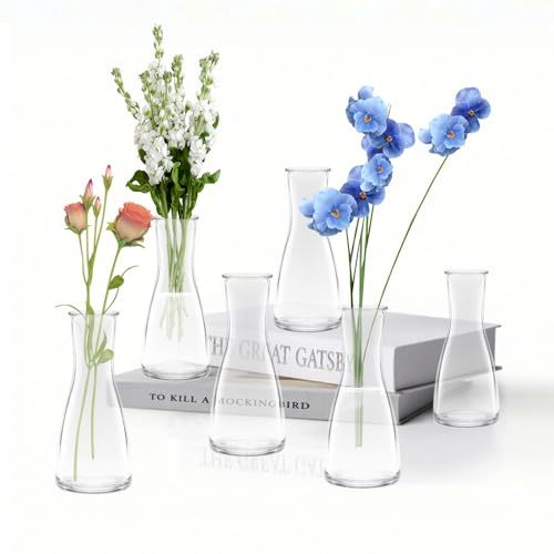 LUOJINYI Kleine Vasen, 6 Stück Glas Vasen Klein Tischdeko für Hochzeitsdeko, Kleine Glasvasen Flower Glasfläschchen für Tischdeko Mittelstücke, Hochzeitsdekorationen