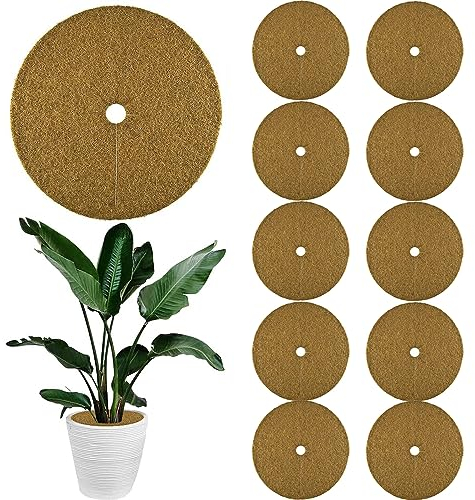 ZDQC Pack of 6 Coconut Mulching Discs, Coconut Plant Protection, Winter Protection Coconut Mat, Winter Protection for Pot Plants, Coconut Fibres, Winter Protection Coconut