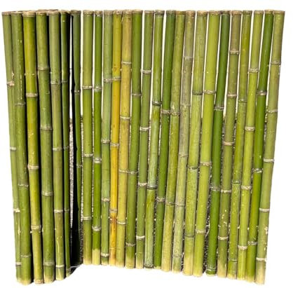 Bambus als Zaun gerollt naturgrün Bali Big Green 120x200cm mit 4 bis 5cm Rohre