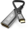 deleyCON 10cm USB C vers DisplayPort Adaptateur Câble Court 4K 60Hz (1080P 2K@165Hz 144Hz 120Hz 60Hz) HDR Thunderbolt 3/4 vers DP Convertisseur Compatible avec iPhone iPad MacBook Tablet Laptop