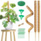 3 Piezas Tutores para Plantas Trepadoras,70cm para Plantas,Tutor de Musgo para Monstera,Tutor Monstera con Accesorios,Tutores para Plantas Monstera para Enredaderas e Monstera Interior y Exterior