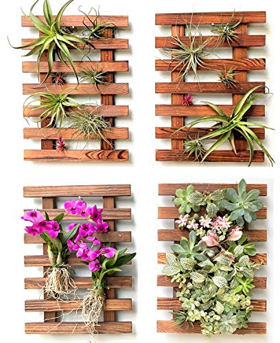 ShopLaLa Jardineras de pared – Paquete de 4 macetas colgantes de madera para plantas de interior y exterior, soporte para orquídeas grasas, soporte vertical de pared para plantas de jardín