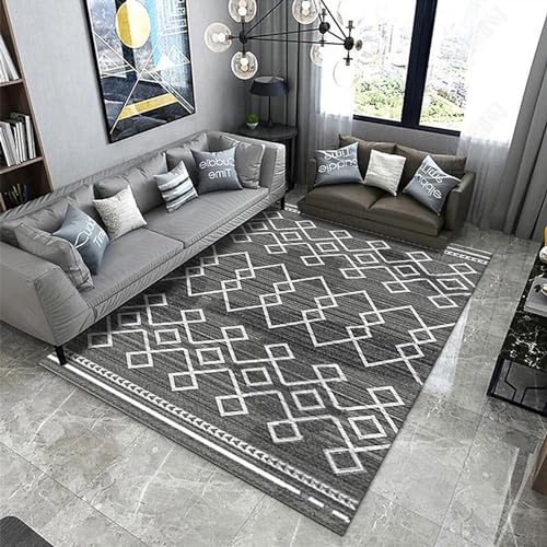 SBJKLYRN Carpeting Living Room Ultra Soft Floor Carpet,Room Decorative Light Luxury Minimalist Style With Durable Anti-slip Backing For Living Room Home Decor(P 02,60 * 90)