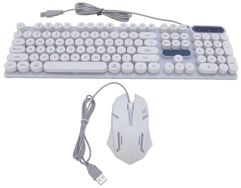 Tosuny Combo de Teclado y Mouse con Cable, Juego de Ratón de Teclado de Juego de RGB de Estilo RGB, Mouse óptico de 1600 Ppi, Teclas Redondas de Retro Punk, a Prueba de (Juego de Punk Blanco D500)