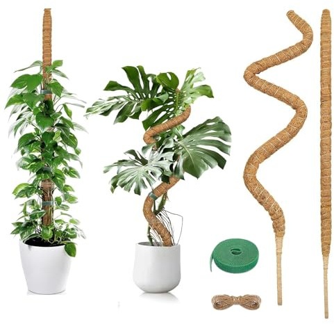 AMSGANK 2 Pezzi Bastone di Muschio, 90cm Palo di Muschio Pieghevole Supporti per Piante Fibra di Cocco Tutore Muschiato per Monstera per Piante Rampicanti da Interno