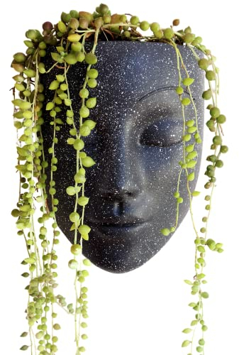 Bossa Linda Wand-Pflanzgefäß, einzigartiger Gesichts-Pflanzgefäß für Innenwände, Pflanztöpfe für Außenpflanzen, Sukkulenten-Übertopf, Kaktus-Kopf-Pflanzgefäß – Tranquilo-Design, schwarz