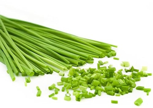 Semillas de Cebollino | DECOALIVE | Semillas Planta Comestible | Planta para Cocinar