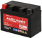 Fiamm Batteria per Moto e Scooter FTZ14S-12B 11AH 210A, Batteria Easy Rider AGM Technology, Massima Potenza di Avvio,Senza Manutenzione, Già Carica, Pronta all'Uso, Adatta a Scooter e Moto