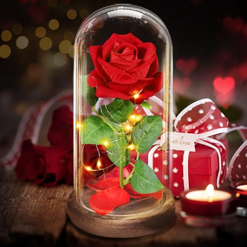 BOLEi Geschenke für Frau, Ewige Rose im Glas, Die Schöne und das Biest Roses, Infinity Rosegeschenk für Freundin,Ehefrau,Weihnachten Geschenke(Romantische Rote Rose-)
