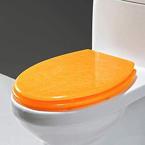 Abattant de WC Familial, Fermeture Douce, avec Bouton de dégagement Rapide, Nettoyage Facile, charnières en résine en Acier Inoxydable, Couvercle de Couvercle de siège de WC, pour Salle de