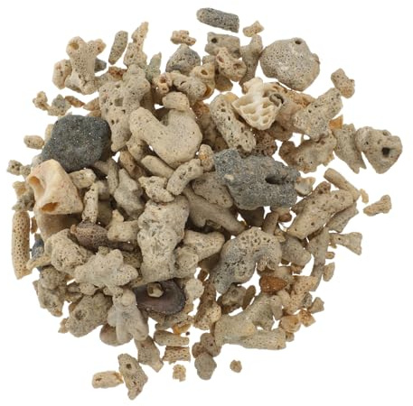 TOYANDONA Osseux Naturel pour Aquarium Matériau Filtrant pour Décor de Fond Texture Fine Adapté Eau Douce et avec Filet Formes et Aléatoires