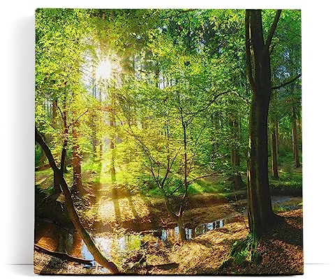 Paul Sinus Wandbild 80x80cm Wald Bäume Bach Sonnenstrahlen Natur Grün