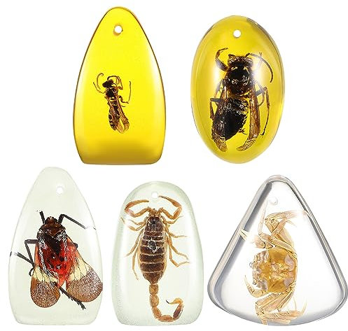 SEWACC Aus Insektenharz 5er-set Stein-charms Zur Schmuckherstellung Perlen Zubehör Für Die Sammlung Zufälliger Stil