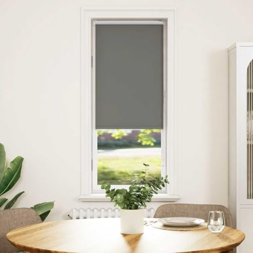 Balkontür Rollo Fensterabdeckung,Verdunkelungsrollo Grau 60x130 cm Stoffbreite 55,7 cm Polyester,Rolladen für Fenster und Türen